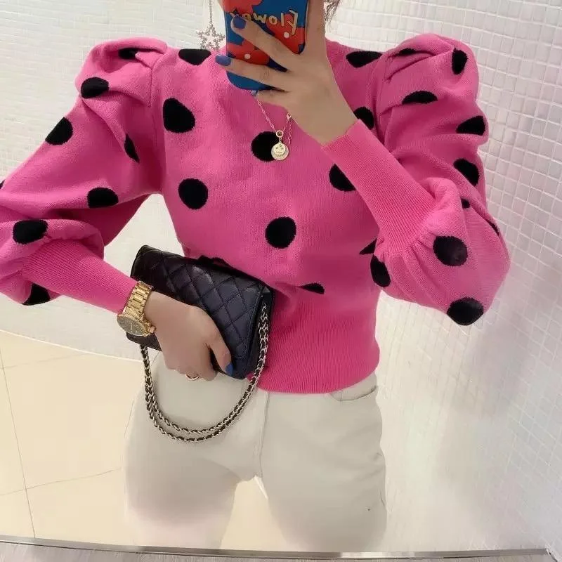 Polka Fanatic Sweaters Cozy Women's Sherpa - lined